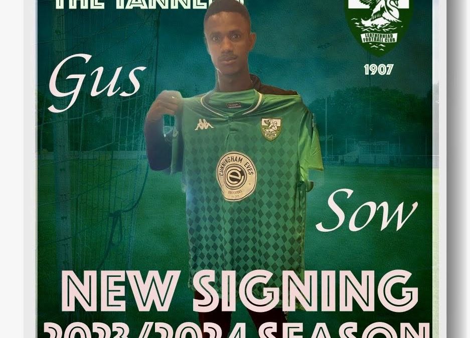 NEW SIGNING-GUS SOW